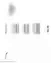 Fig. 31 - Key generation and rollover