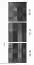 Fig. 07 - HIGH DYNAMIC RANGE LIGHT-FIELD IMAGING