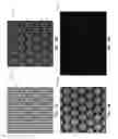 Fig. 10 - HIGH DYNAMIC RANGE LIGHT-FIELD IMAGING