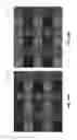 Fig. 17 - HIGH DYNAMIC RANGE LIGHT-FIELD IMAGING