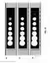 Fig. 03 - Non-destructive read operations with dynamically growing images