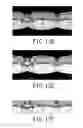 Fig. 17 - METHOD FOR TRANSFORMING WIDE-ANGLE IMAGE TO MAP PROJECTION IMAGE AND PERSPECTIVE PROJECTION IMAGE