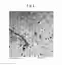 Fig. 05 - Oriented copper plate, copper-clad laminate, flexible circuit board, and electronic device