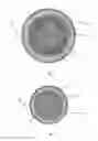 Fig. 02 - Sustained release particles for controlling plant damaging organisms