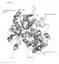 Fig. 33 - Microbial production of steviol glycosides