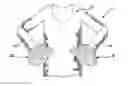 Fig. 01 - SHIRT SLEEVES WITH POMPOMS