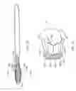 Fig. 07 - Toothbrush
