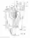 Fig. 02 - Firearm lock shroud
