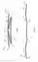 Fig. 03 - SHOULDER STRAP APPLICABLE TO BABY CARRIER