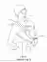Fig. 09 - SHOULDER STRAP APPLICABLE TO BABY CARRIER