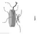 Fig. 09 - Device for brewing beverages in reduced time by means of physical motion