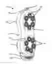 Fig. 01 - Back-Cleansing Unit