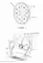 Fig. 08 - Back-Cleansing Unit