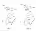 Fig. 06 - Vision testing device