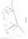 Fig. 31 - Medical devices, systems, and methods for performing eye exams and eye tracking