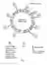 Fig. 02 - MODIFIED PARAMAGNETIC NANOPARTICLES FOR TARGETED DELIVERY OF THERAPEUTICS AND METHODS THEREOF