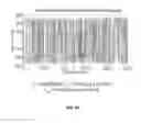 Fig. 20 - METHODS AND SYSTEMS FOR DETERMINING VASCULAR BODILY LUMEN INFORMATION AND GUIDING MEDICAL DEVICES