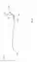 Fig. 48 - METHODS AND SYSTEMS FOR DETERMINING VASCULAR BODILY LUMEN INFORMATION AND GUIDING MEDICAL DEVICES