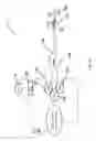 Fig. 58 - METHODS AND SYSTEMS FOR DETERMINING VASCULAR BODILY LUMEN INFORMATION AND GUIDING MEDICAL DEVICES