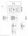 Fig. 07 - Systems and methods for automated fluid response measurement