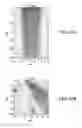 Fig. 22 - Systems and methods for automated fluid response measurement