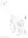 Fig. 03 - BIOPSY DEVICE
