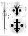 Fig. 28 - BIOPSY DEVICE