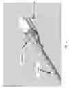 Fig. 08 - Vascular closure device
