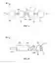 Fig. 06 - EMBOLIZATION DEVICE AND A METHOD OF USING THE SAME