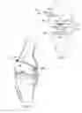 Fig. 08 - System and method for load balancing in knee replacement procedures