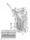 Fig. 23 - Hand held dermaplaning device and dermaplaning process