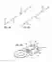Fig. 07 - Handpieces for tissue treatment