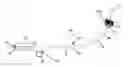 Fig. 01 - Uterine manipulator