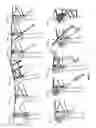 Fig. 02 - BONE FRACTURE REPAIR APPARATUS AND METHODS
