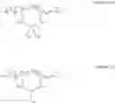 Fig. 06 - Composition for washing and conditioning the hair