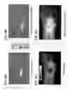 Fig. 09 - Topical sodium nitrite formulation