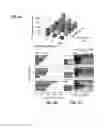 Fig. 04 - Mass production and size control of nanoparticles through controlled microvortices