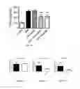 Fig. 12 - Mass production and size control of nanoparticles through controlled microvortices