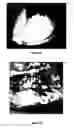 Fig. 08 - Press coated tablet prepared for delayed release of an active ingredient