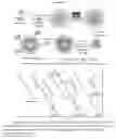 Fig. 01 - Polymers and polymeric nanogels with hydrophilics encapsulation and release capabilities and methods thereof