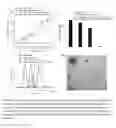 Fig. 05 - Polymers and polymeric nanogels with hydrophilics encapsulation and release capabilities and methods thereof