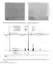Fig. 12 - Polymers and polymeric nanogels with hydrophilics encapsulation and release capabilities and methods thereof
