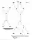 Fig. 03 - Nanoparticles Containing A Taxane And Their Use