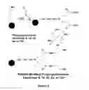 Fig. 04 - Nanoparticles Containing A Taxane And Their Use