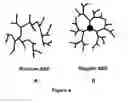 Fig. 05 - Nanoparticles Containing A Taxane And Their Use