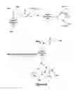 Fig. 07 - Nanoparticles Containing A Taxane And Their Use
