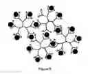 Fig. 10 - Nanoparticles Containing A Taxane And Their Use