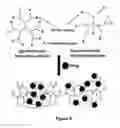 Fig. 11 - Nanoparticles Containing A Taxane And Their Use