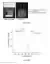 Fig. 07 - CORE-SHELL PARTICLE FORMULATION FOR DELIVERING MULTIPLE THERAPEUTIC AGENTS
