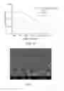 Fig. 11 - CORE-SHELL PARTICLE FORMULATION FOR DELIVERING MULTIPLE THERAPEUTIC AGENTS